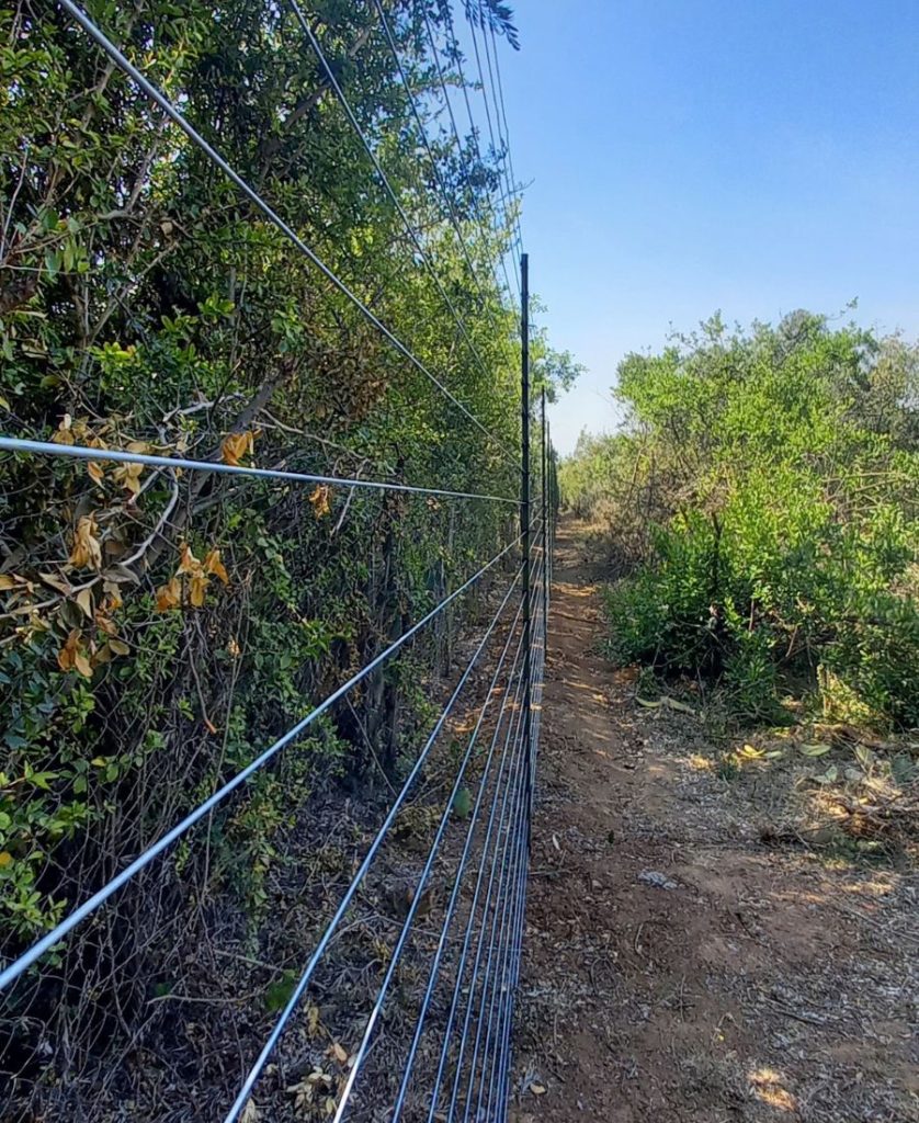 Electric Fences Kenya