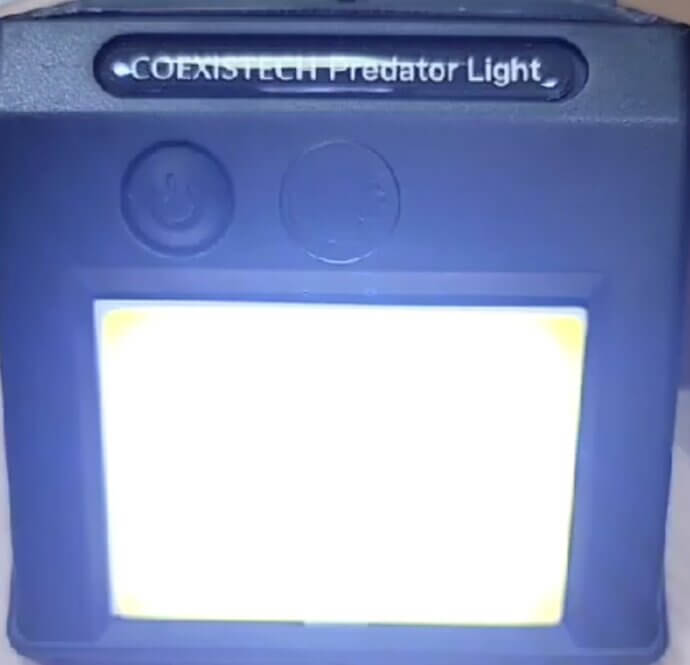 Predators Lights in Kenya