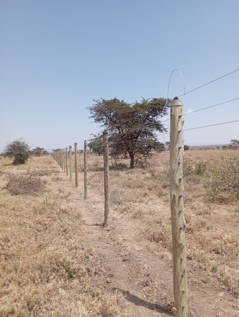 Stafix Energizer Machines in Kenya