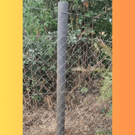 Fencing Posts in Kenya | Durable, Eco-Friendly & Affordable