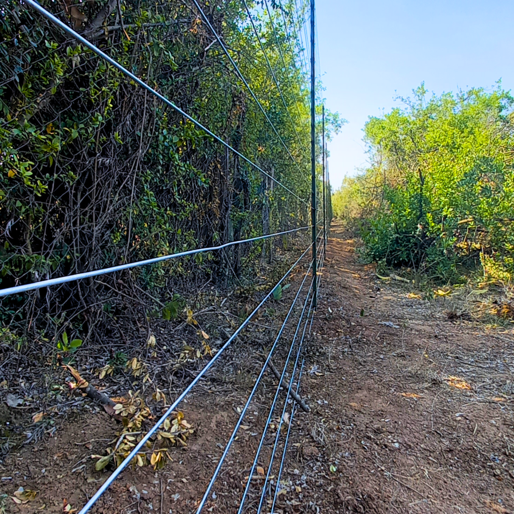 buy quality razor wire fences in kenya - 0722708034